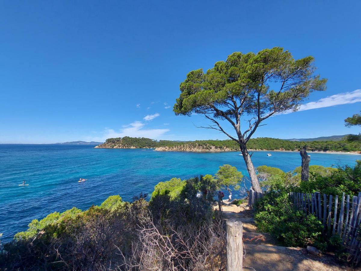 Coquet Studio Avec Belle Terrasse Lägenhet La Londe-les-Maures Exteriör bild